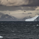 A view of icebergs in Grandidier Channel in Antarctica on February 9, 2022.